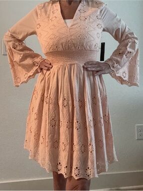 Blush Pink Eyelet Lace V-Neck Mini Dress